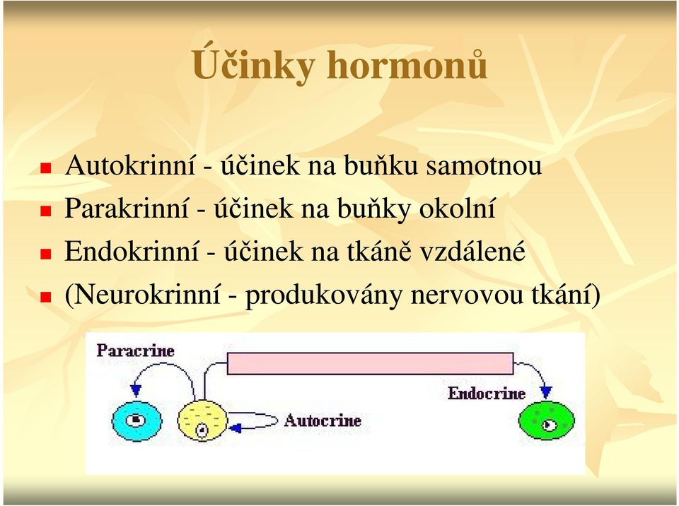 buňky okolní Endokrinní - účinek na tkáně