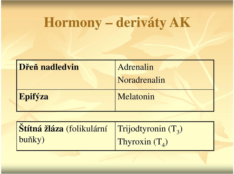 Melatonin Štítná žláza (folikulární