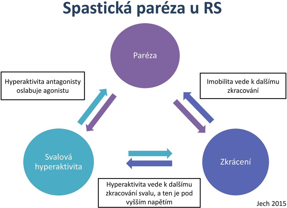 Svalová hyperaktivita Zkrácení Hyperaktivita vede k