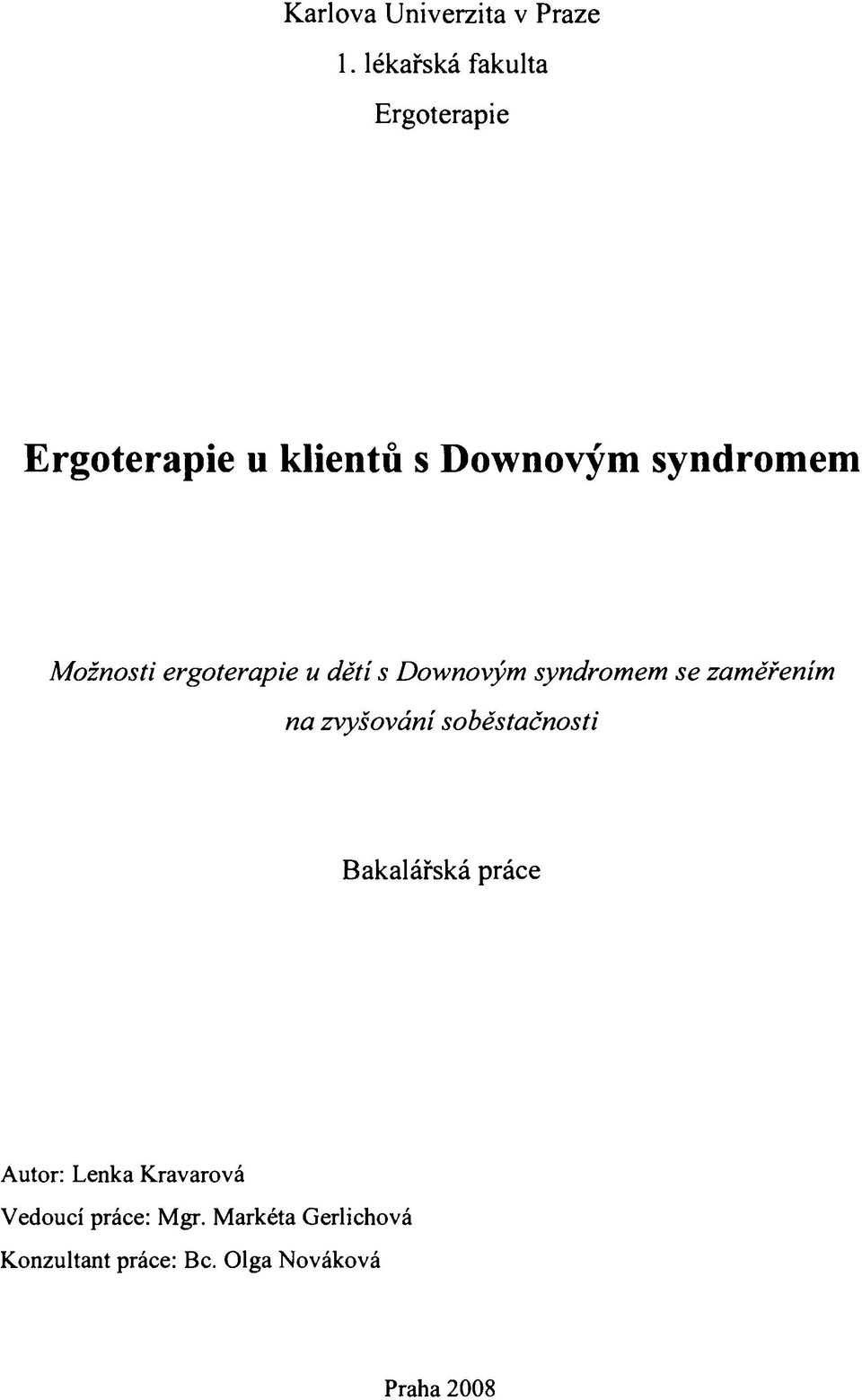 Možnosti ergoterapie u dětí s Downovým syndromem se zaměřením na zvyšování