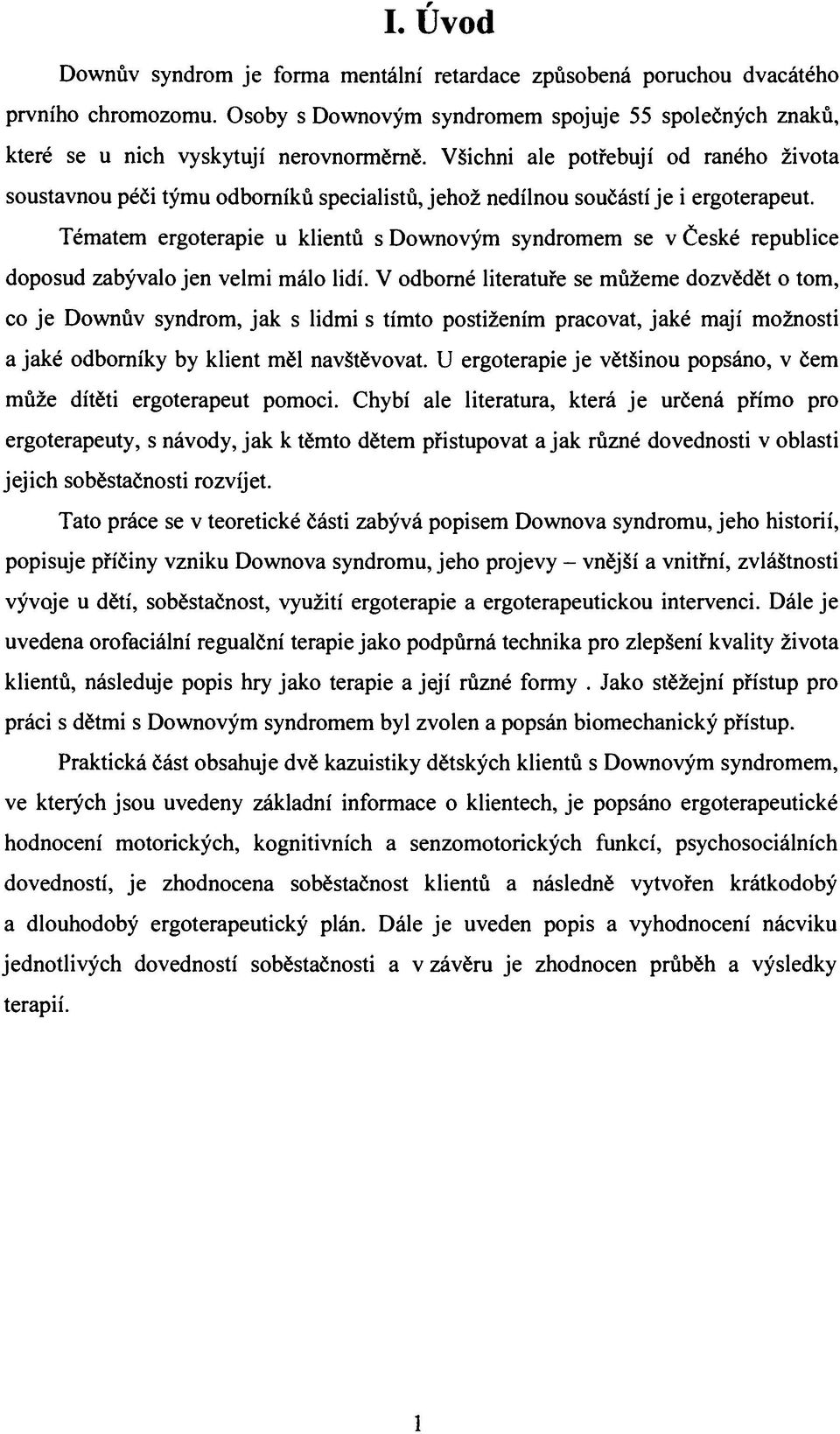 Tématem ergoterapie u klientů s Downovým syndromem se v České republice doposud zabývalo jen velmi málo lidí.