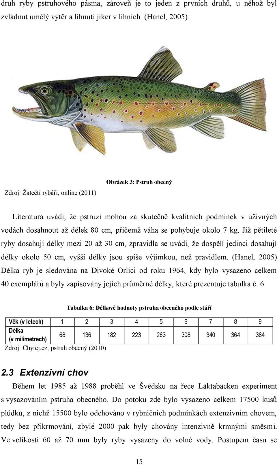 se pohybuje okolo 7 kg. Již pětileté ryby dosahují délky mezi 20 až 30 cm, zpravidla se uvádí, že dospělí jedinci dosahují délky okolo 50 cm, vyšší délky jsou spíše výjimkou, než pravidlem.