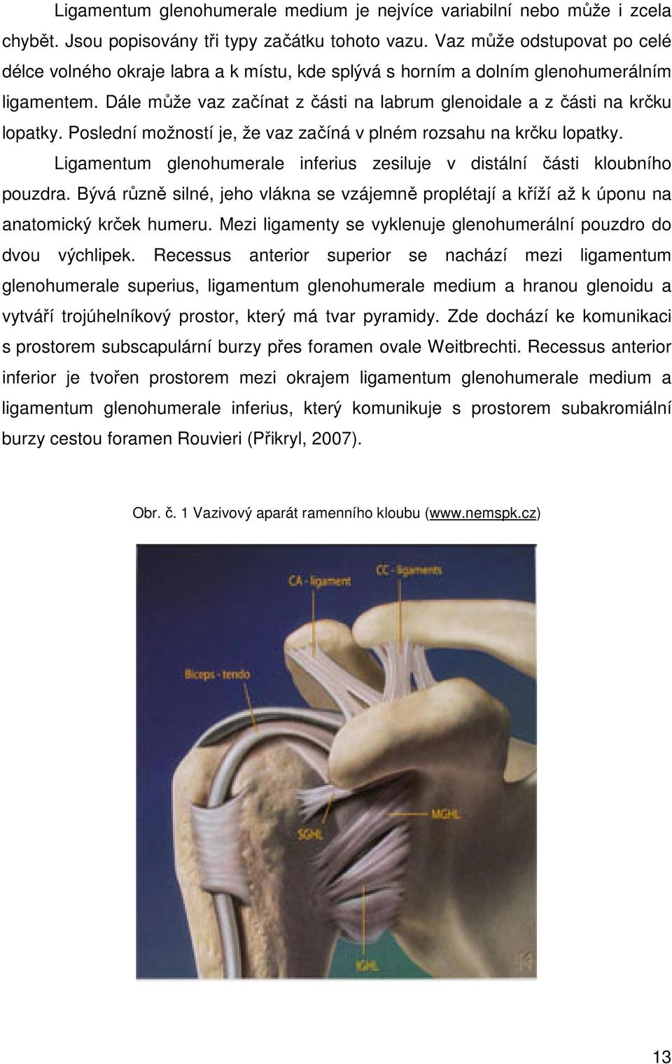 Dále může vaz začínat z části na labrum glenoidale a z části na krčku lopatky. Poslední možností je, že vaz začíná v plném rozsahu na krčku lopatky.