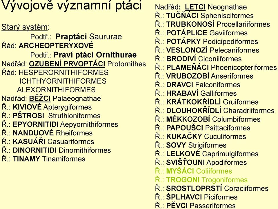 : PŠTROSI Struthioniformes Ř.: EPYORNITIDI Aepyornithiformes Ř.: NANDUOVÉ Rheiformes Ř.: KASUÁŘI Casuariformes Ř.: DINORNITIDI Dinornithiformes Ř.: TINAMY Tinamiformes Nadřád: LETCI Neognathae Ř.
