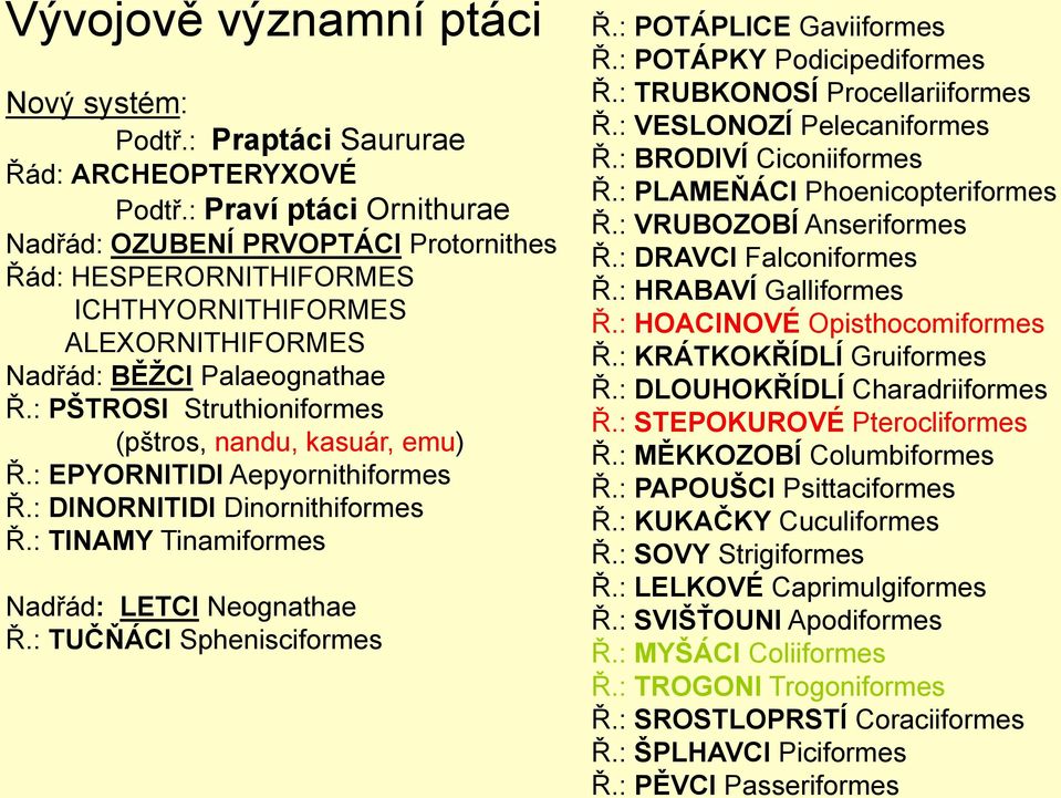 : PŠTROSI Struthioniformes (pštros, nandu, kasuár, emu) Ř.: EPYORNITIDI Aepyornithiformes Ř.: DINORNITIDI Dinornithiformes Ř.: TINAMY Tinamiformes Nadřád: LETCI Neognathae Ř.