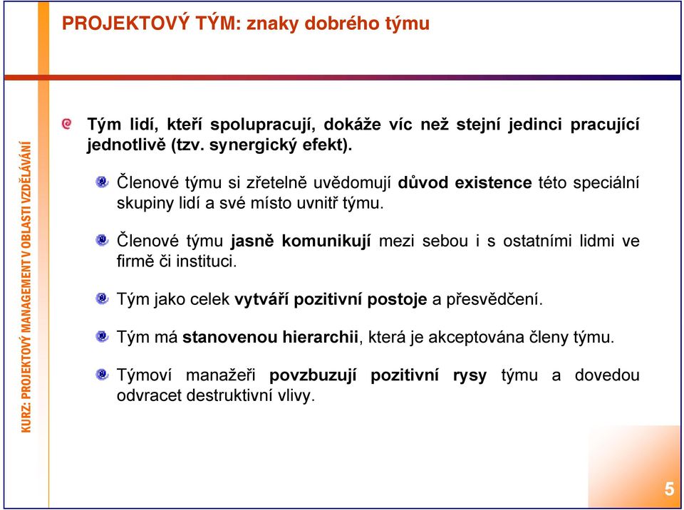 Členové týmu jasně komunikují mezi sebou i s ostatními lidmi ve firměě či instituci.