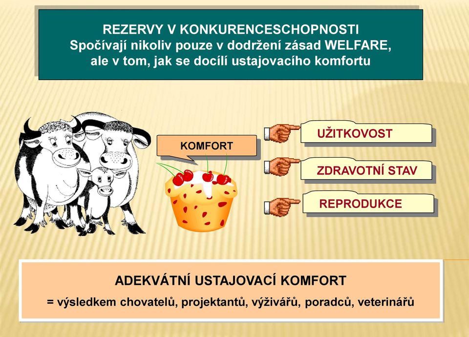 KOMFORT UŽITKOVOST ZDRAVOTNÍ STAV REPRODUKCE ADEKVÁTNÍ USTAJOVACÍ