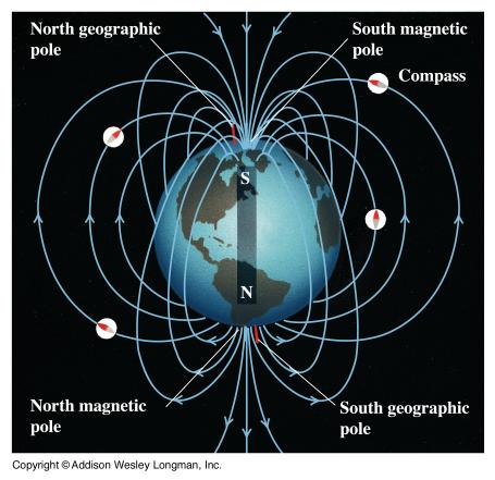 Mg. pole