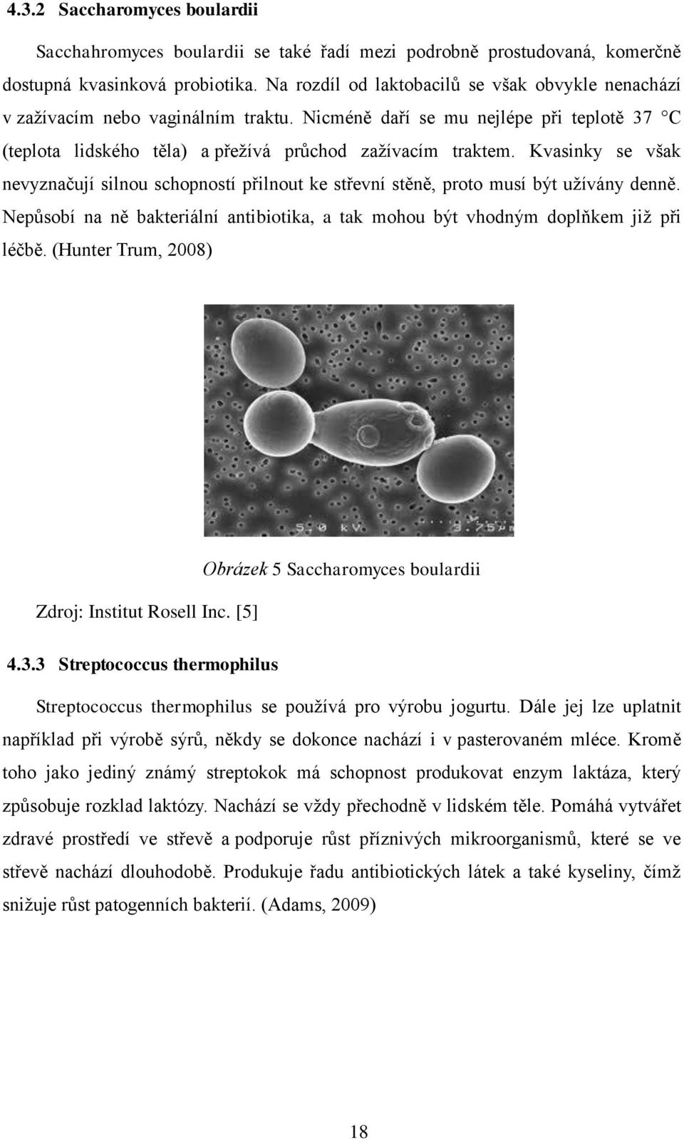 Kvasinky se však nevyznačují silnou schopností přilnout ke střevní stěně, proto musí být užívány denně. Nepůsobí na ně bakteriální antibiotika, a tak mohou být vhodným doplňkem již při léčbě.
