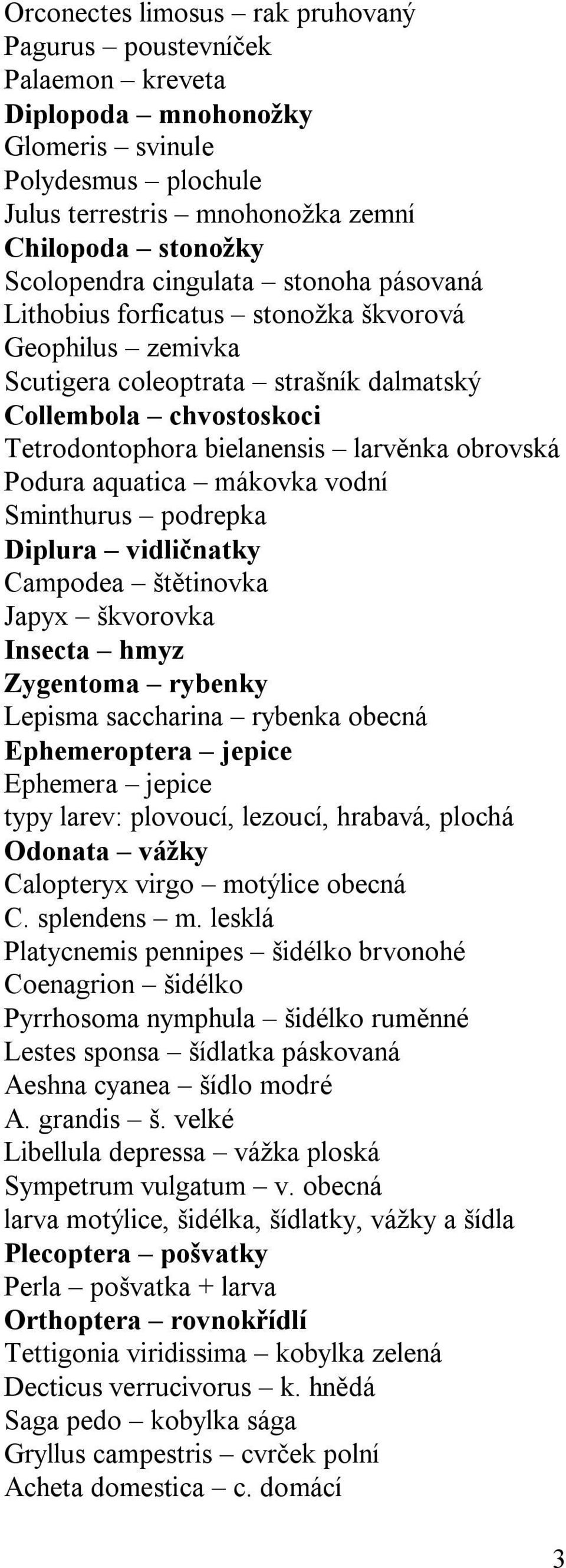 Podura aquatica mákovka vodní Sminthurus podrepka Diplura vidličnatky Campodea štětinovka Japyx škvorovka Insecta hmyz Zygentoma rybenky Lepisma saccharina rybenka obecná Ephemeroptera jepice