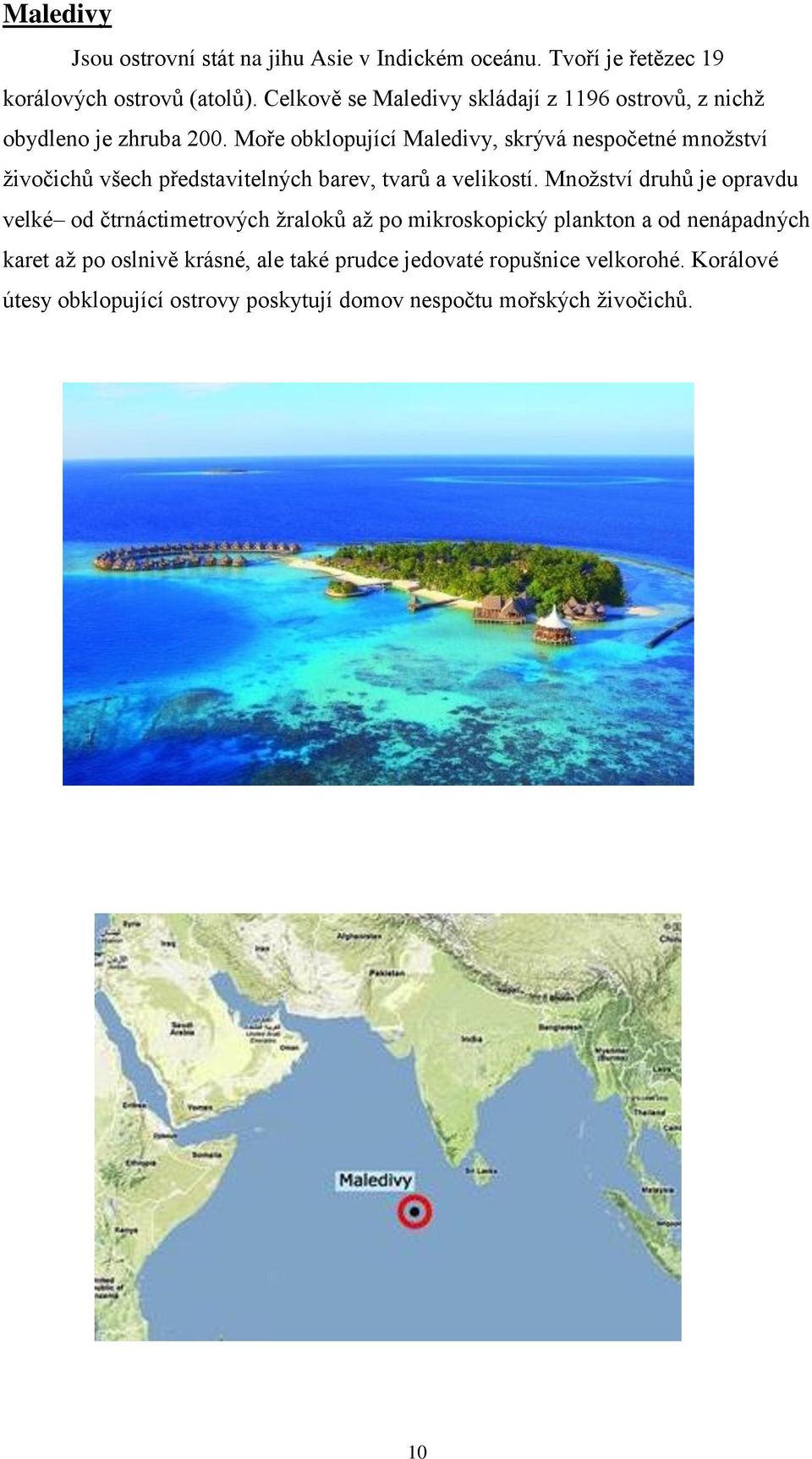 Moře obklopující Maledivy, skrývá nespočetné množství živočichů všech představitelných barev, tvarů a velikostí.