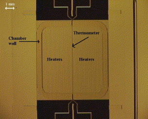 Vícefunkční chemické a biochemické mikrosystémy Strana 8 Mikrofluidní čip pro stacionární PCR Ve stacionárním uspořádání je vzorek a ostatní komponenty umístěn v mikrofluidní komoře.