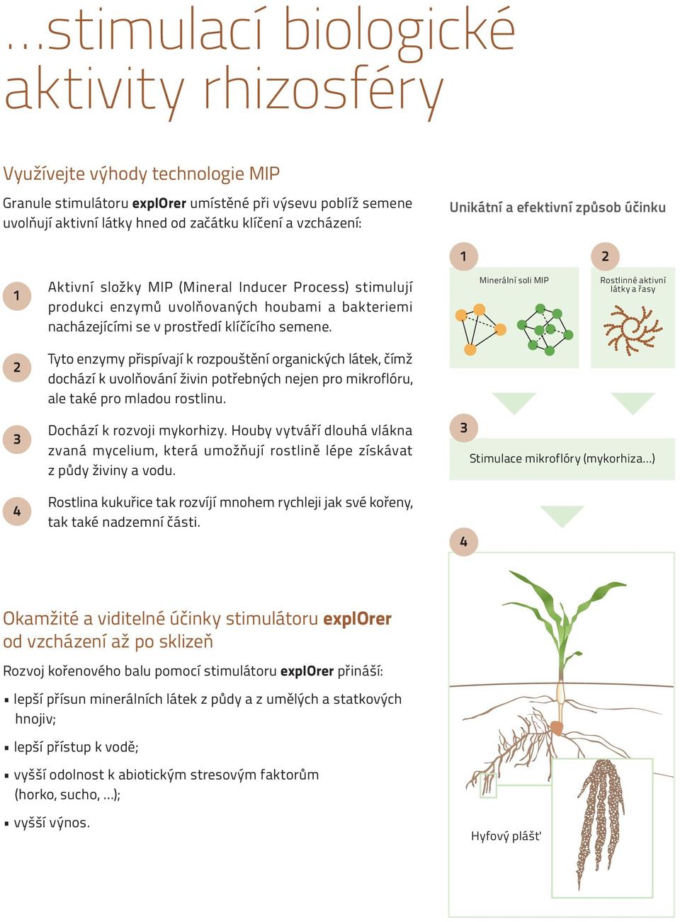 nerální soli MI Rostlinné aktivní látky a řasy 2 Tyto enzymy přispívají k rozpouštění organických látek, čímž dochází k uvolňování živin potřebných nejen pro mikroflóru, ale také pro mladou rostlinu.