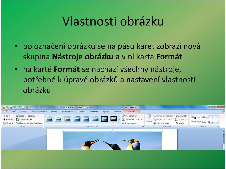 karta Formát na kartě Formátse nachází všechny