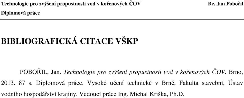 Brno, 2013. 87 s.