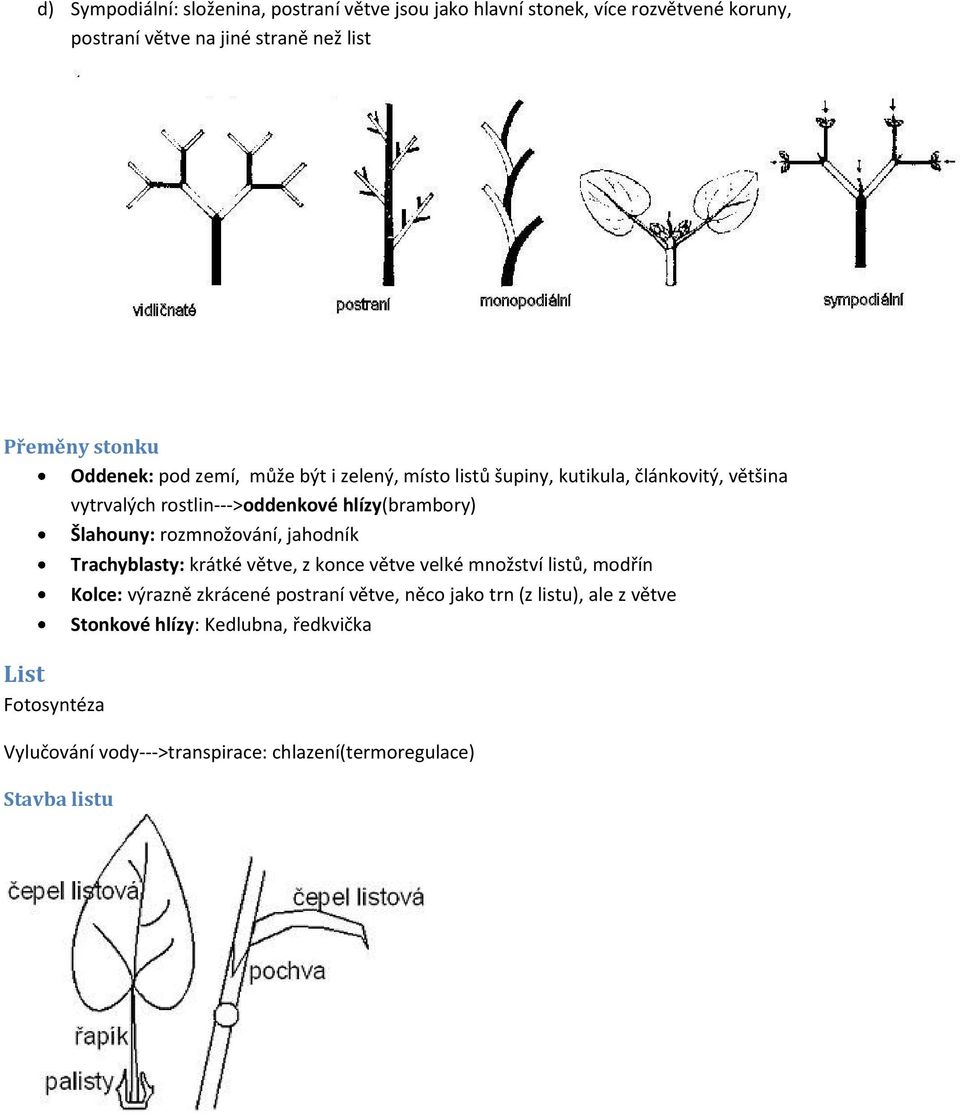 Fotosyntéza Šlahouny: rozmnožování, jahodník Trachyblasty: krátké větve, z konce větve velké množství listů, modřín Kolce: výrazně zkrácené