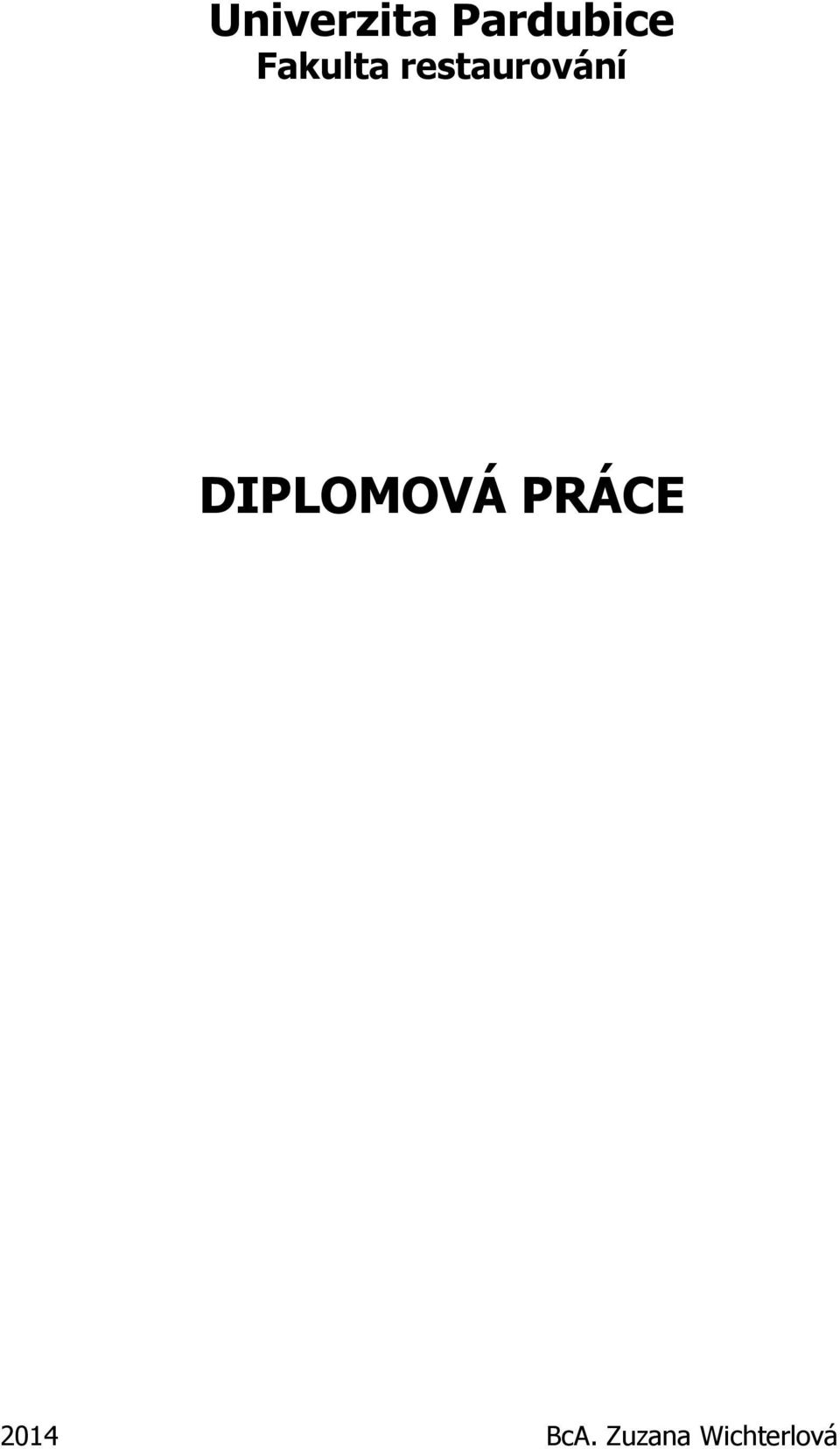 DIPLOMOVÁ PRÁCE 2014