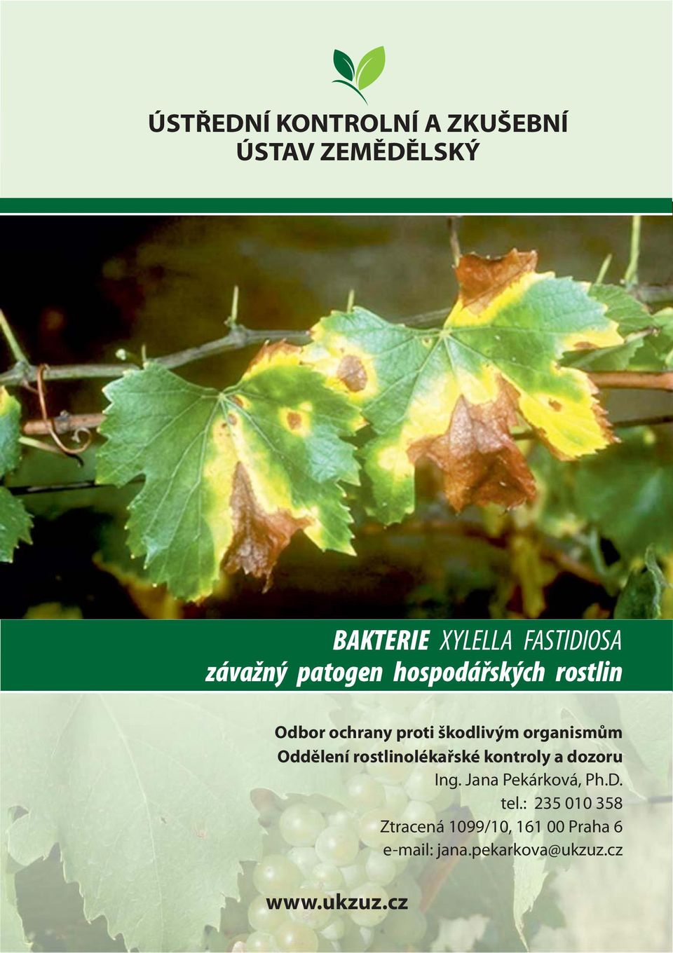 Oddělení rostlinolékařské kontroly a dozoru Ing. Jana Pekárková, Ph.D. tel.