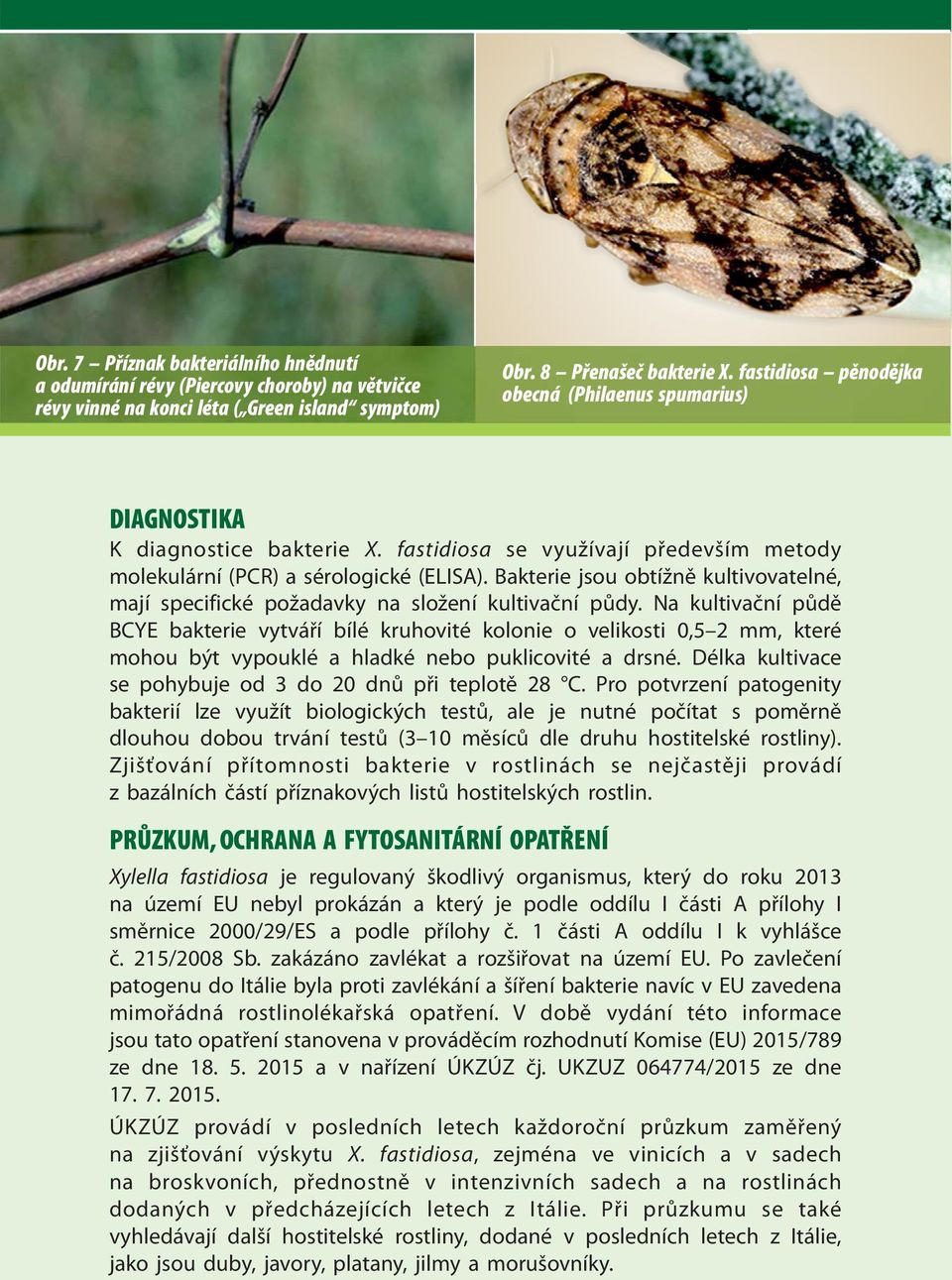 Bakterie jsou obtížně kultivovatelné, mají specifické požadavky na složení kultivační půdy.