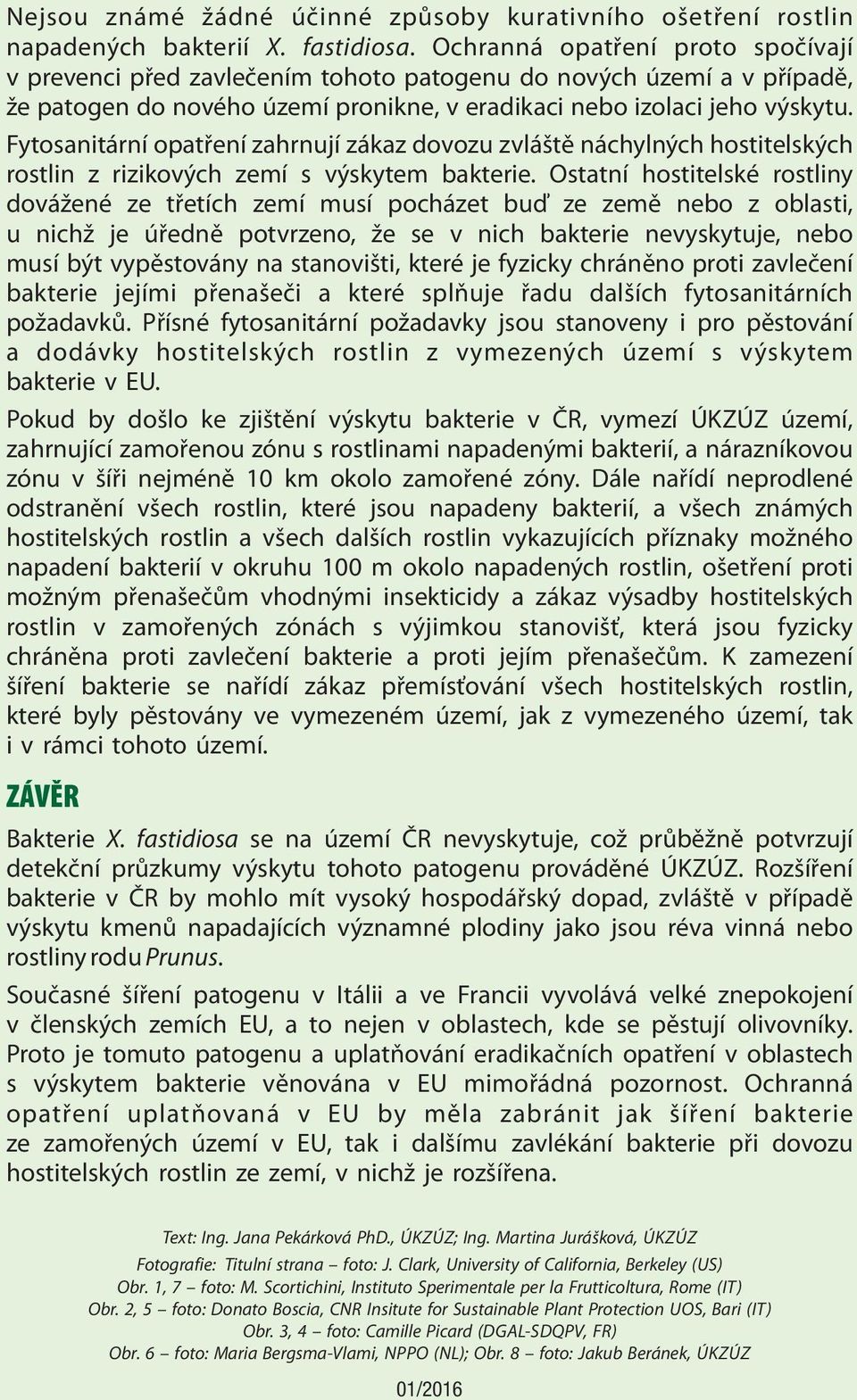 Fytosanitární opatření zahrnují zákaz dovozu zvláště náchylných hostitelských rostlin z rizikových zemí s výskytem bakterie.