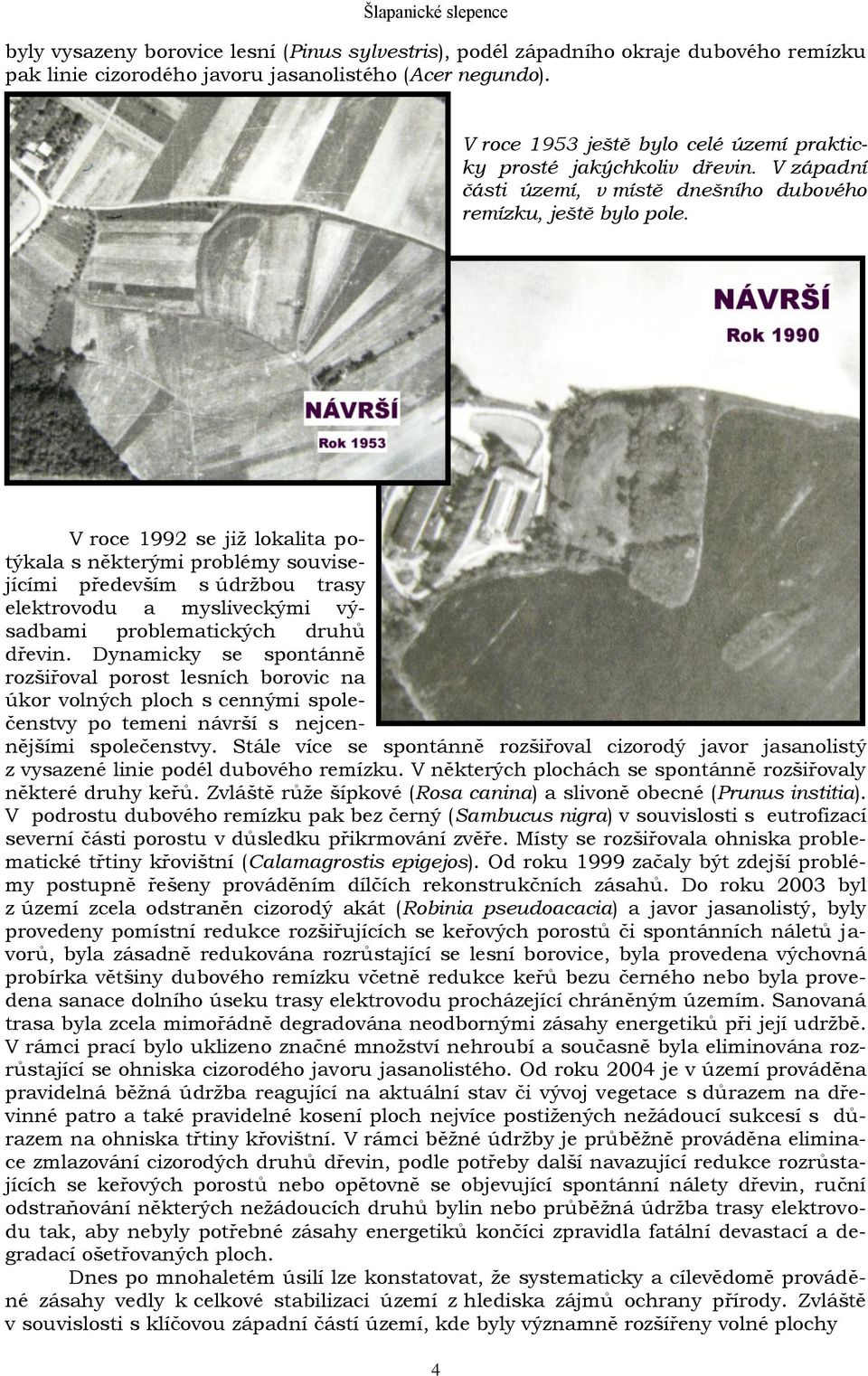 V roce 1992 se již lokalita potýkala s některými problémy souvisejícími především s údržbou trasy elektrovodu a mysliveckými výsadbami problematických druhů dřevin.