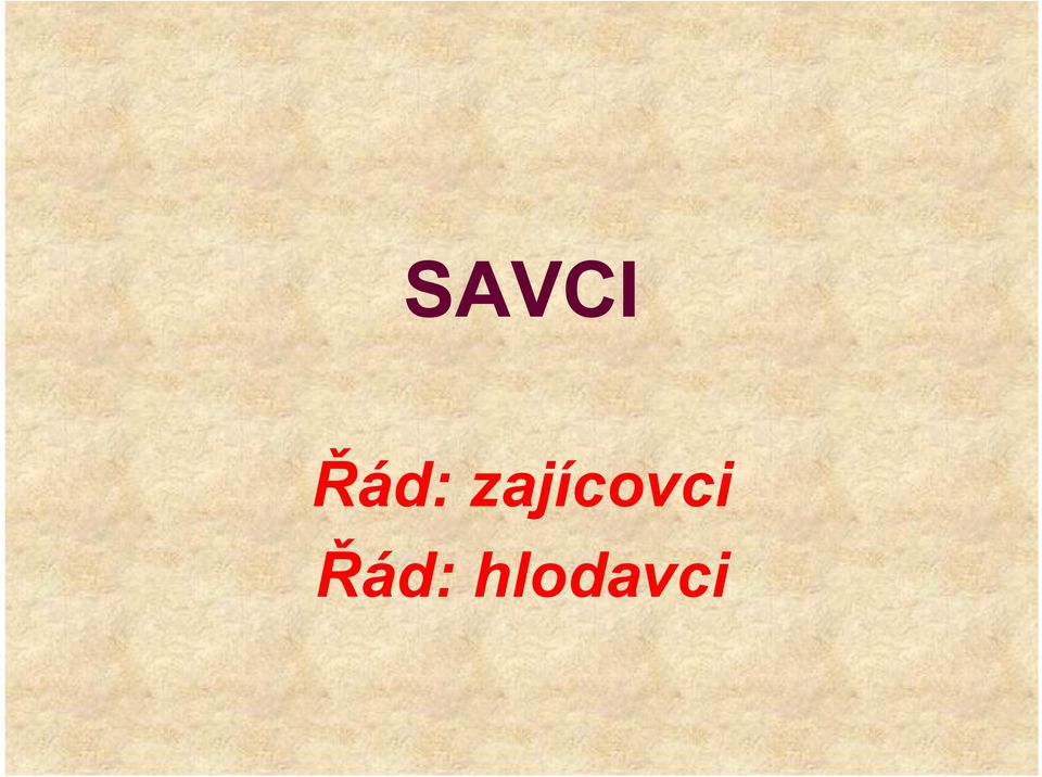 zajícovci