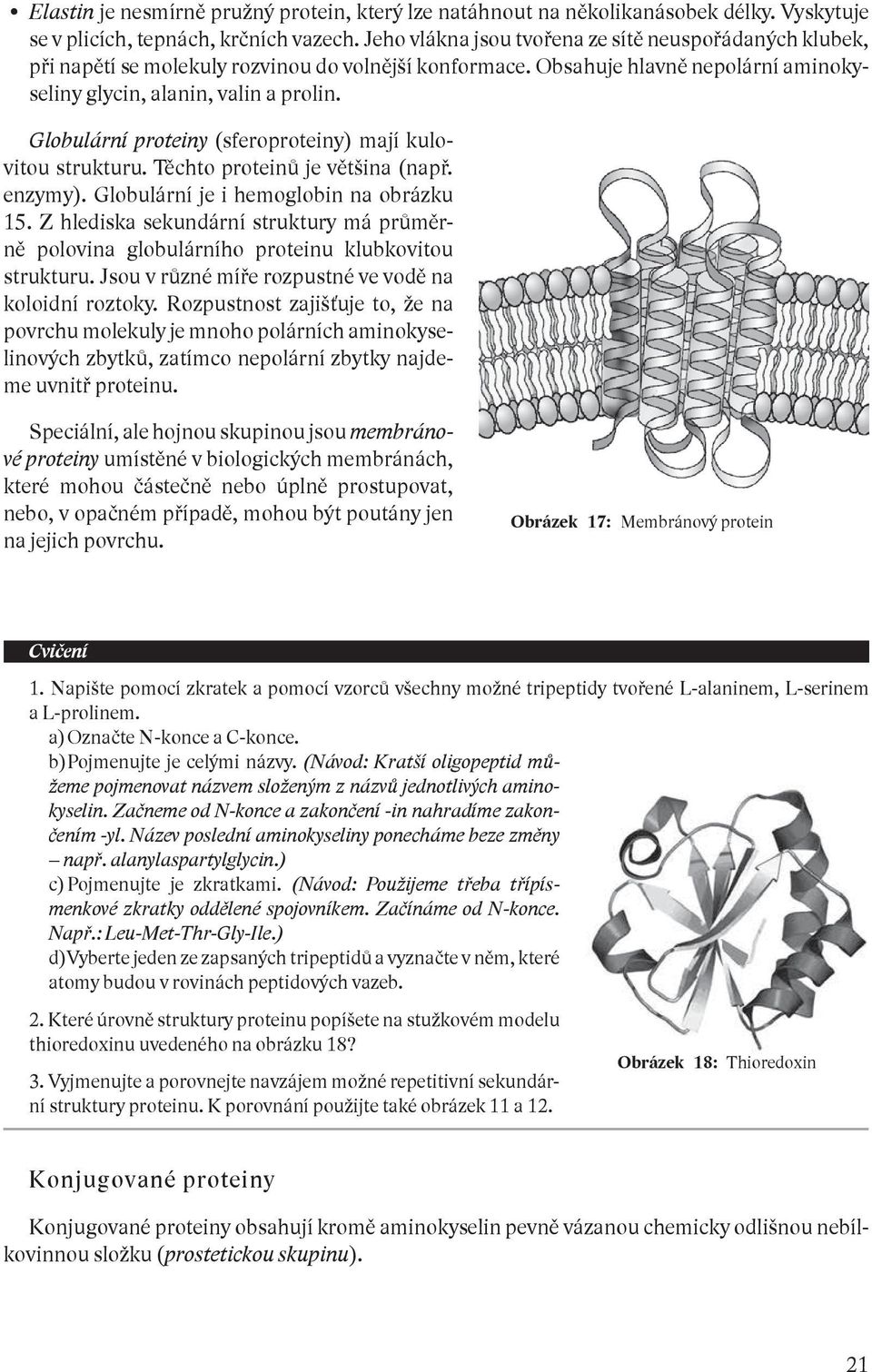 Globulární proteiny ( sferoproteiny) mají kulovitou strukturu. Těchto proteinů je většina (např. enzymy). Globulární je i hemoglobin na obrázku 15.