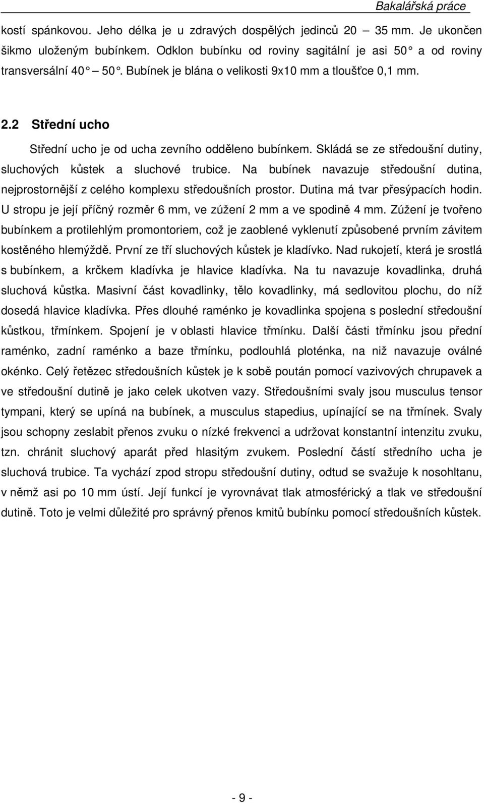 Na bubínek navazuje středoušní dutina, nejprostornější z celého komplexu středoušních prostor. Dutina má tvar přesýpacích hodin. U stropu je její příčný rozměr 6 mm, ve zúžení 2 mm a ve spodině 4 mm.