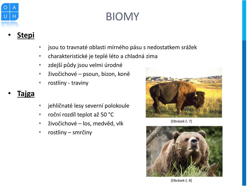 živočichové psoun, bizon, koně rostliny - traviny jehličnaté lesy severní polokoule