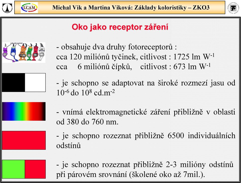 m -2 - vnímá elektromagnetické záření přibližně v oblasti od 380 do 760 nm.