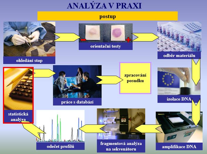 PRAKTIKUM Z GENETIKY POPULACÍ