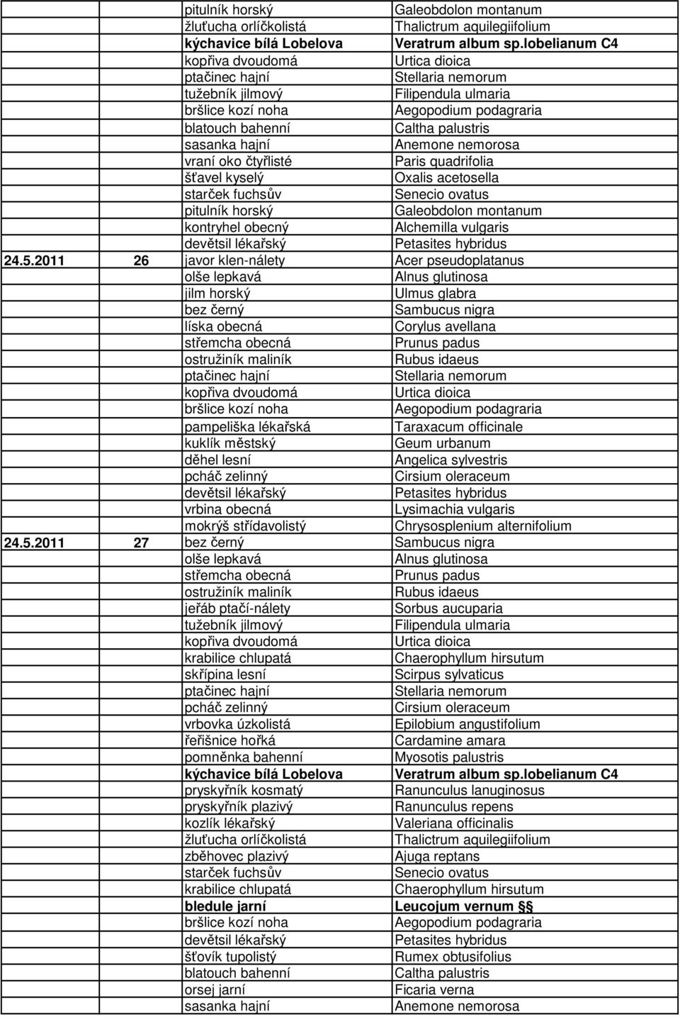 2011 26 javor klen-nálety jilm horský Ulmus glabra bez černý Sambucus nigra líska obecná Corylus avellana střemcha obecná Prunus padus kuklík městský Geum urbanum devětsil lékařský