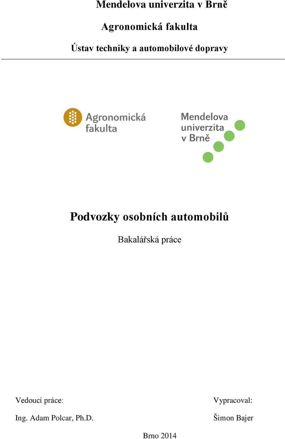 osobních automobilů Bakalářská práce Vedoucí