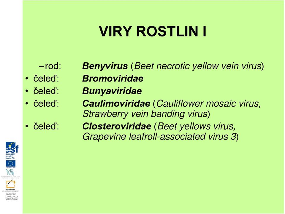 Caulimoviridae (Cauliflower mosaic virus, Strawberry vein banding