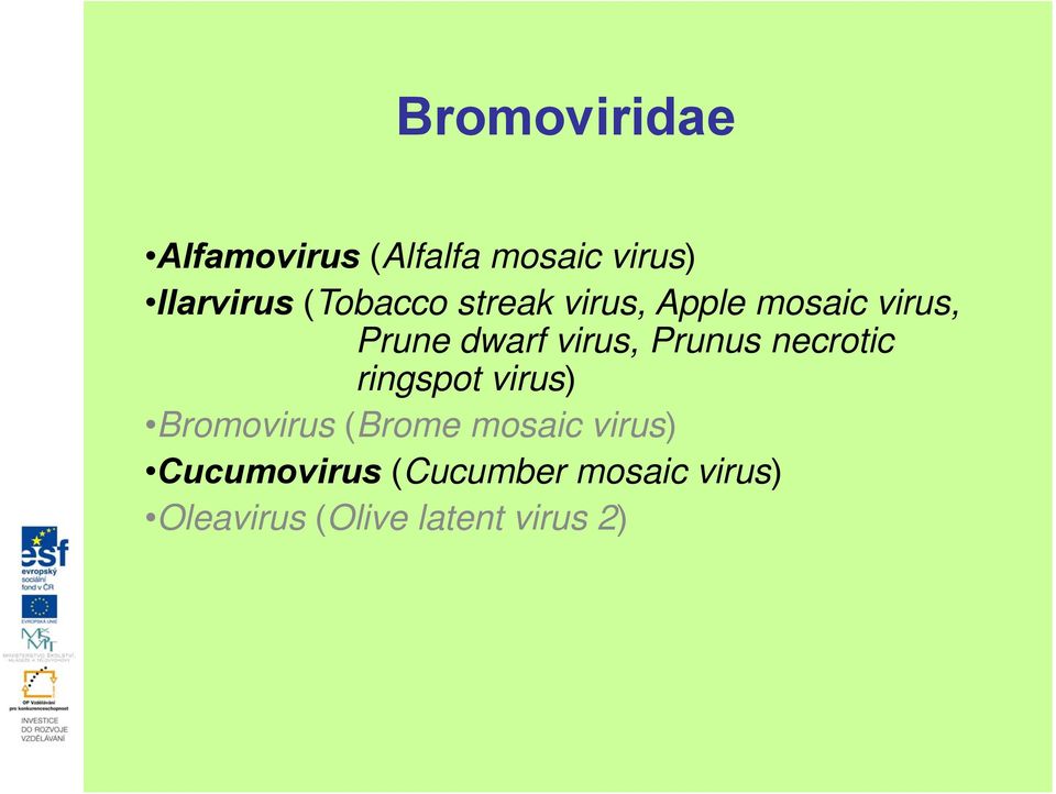 Prunus necrotic ringspot virus) Bromovirus (Brome mosaic