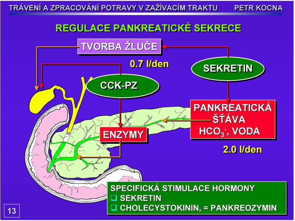 7 l/den SEKRETIN PANKREATICKÁ ŠŤÁVA HCO 3-3-,