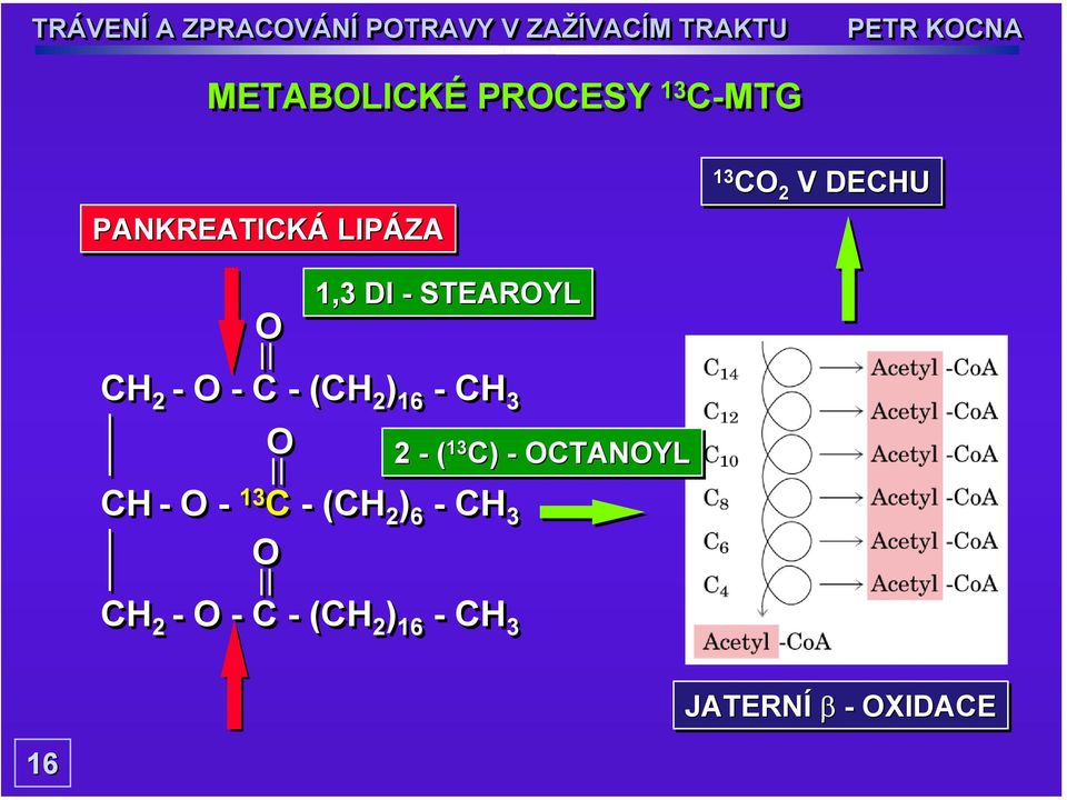 -CH 3 O CH - O - 13 C-(CH 2 ) 6 -CH 3 O CH 2 -O -C -(CH