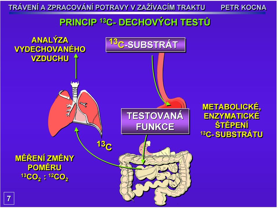 ZMĚNY POMĚRU 13 CO 12 2 : 1 2 CO 2 13 C