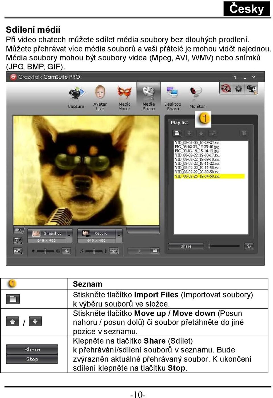 Média soubory mohou být soubory videa (Mpeg, AVI, WMV) nebo snímků (JPG, BMP, GIF).