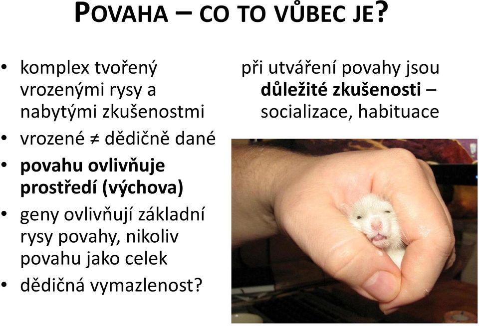 dané povahu ovlivňuje prostředí (výchova) geny ovlivňují základní rysy