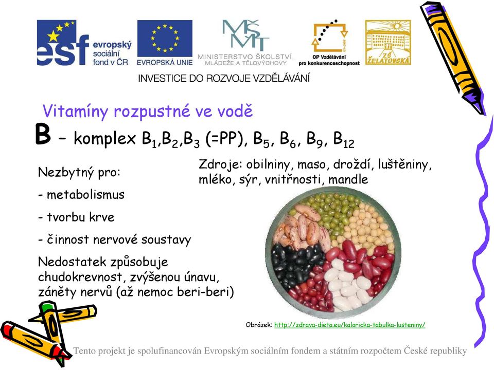 chudokrevnost, zvýšenou únavu, záněty nervů (až nemoc beri-beri) Zdroje: obilniny,