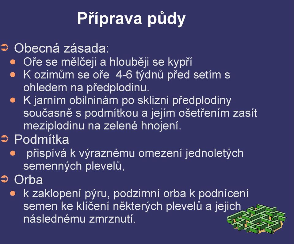 K jarním obilninám po sklizni předplodiny současně s podmítkou a jejím ošetřením zasít meziplodinu na