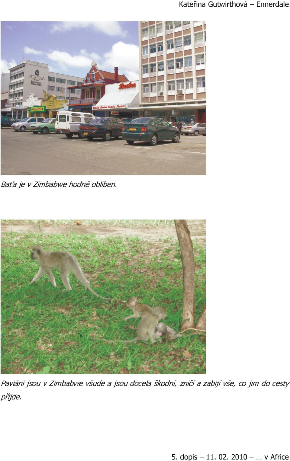 jsou docela škodní, zničí a