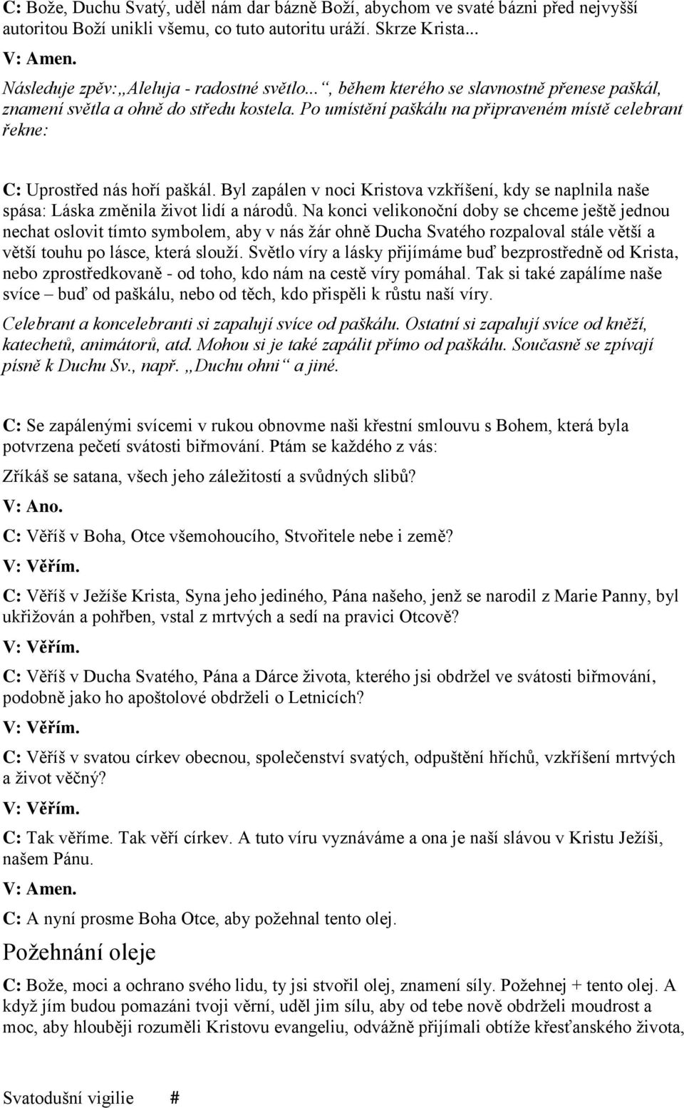 Byl zapálen v noci Kristova vzkříšení, kdy se naplnila naše spása: Láska změnila život lidí a národů.