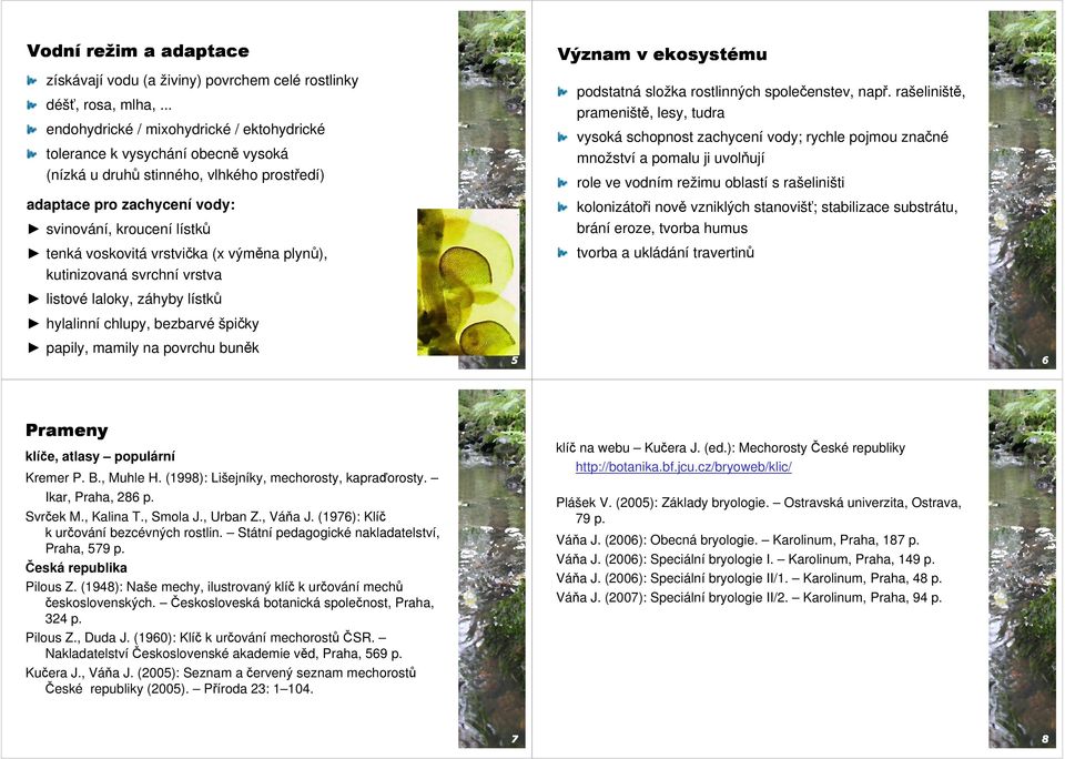 vrstvička (x výměna plynů), kutinizovaná svrchní vrstva listové laloky, záhyby lístků hylalinní chlupy, bezbarvé špičky papily, mamily na povrchu buněk 5 Význam v ekosystému podstatná složka