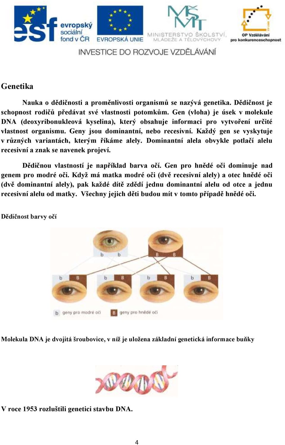 Každý gen se vyskytuje v různých variantách, kterým říkáme alely. Dominantní alela obvykle potlačí alelu recesivní a znak se navenek projeví. Dědičnou vlastností je například barva očí.