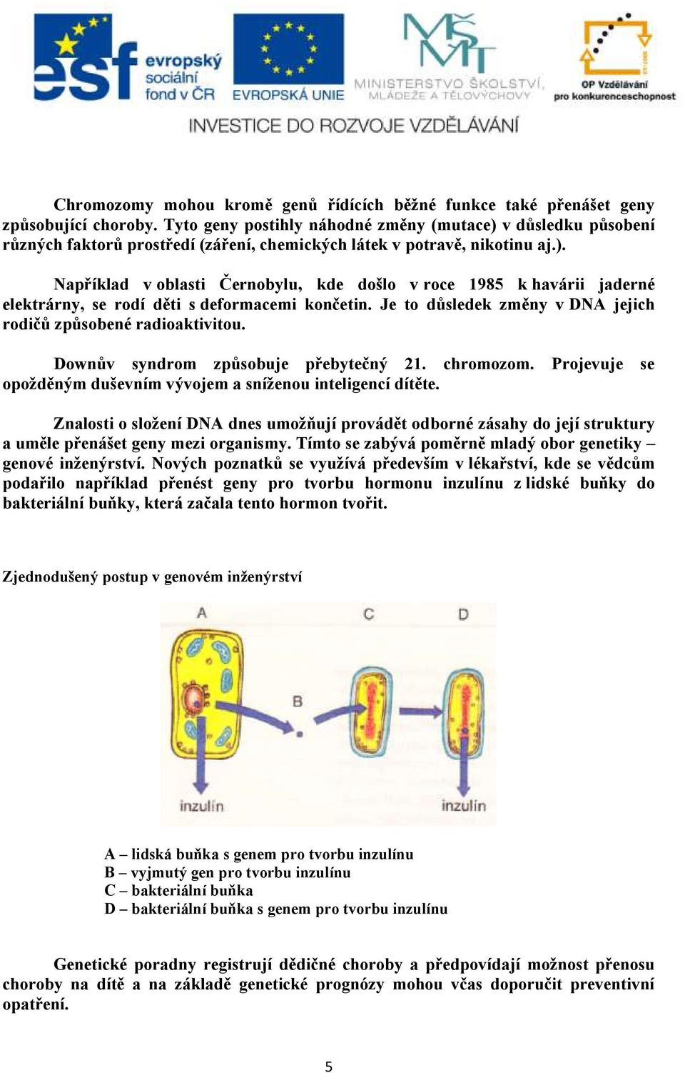 Je to důsledek změny v DNA jejich rodičů způsobené radioaktivitou. Downův syndrom způsobuje přebytečný 21. chromozom. Projevuje se opožděným duševním vývojem a sníženou inteligencí dítěte.