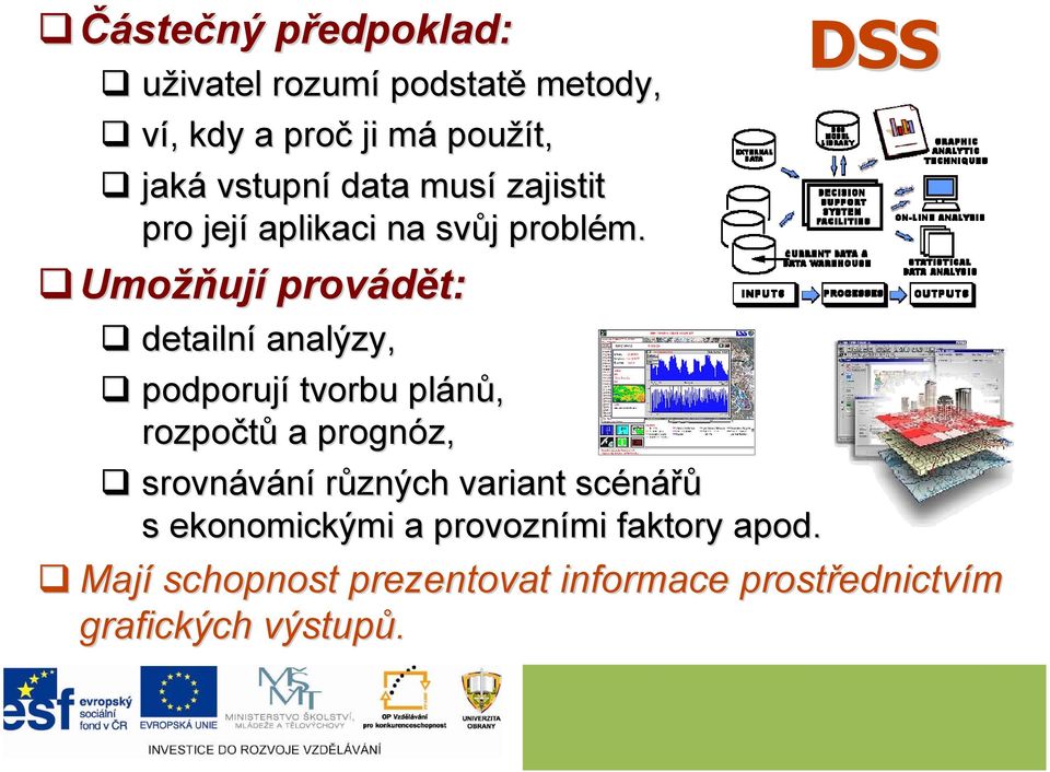 Umožň žňují provádět: DSS detailní analýzy, podporují tvorbu plánů, rozpočtů a prognóz, srovnávání