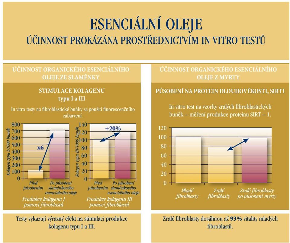 800 700 600 500 400 300 200 100 0 x6 Před působením Po působení slaměnkového esenciálního oleje Produkce kolagenu I pomocí fibroblastů Kolagen typu III/1000 buněk 140 120 100 80 60 40 20 0 +20% Před