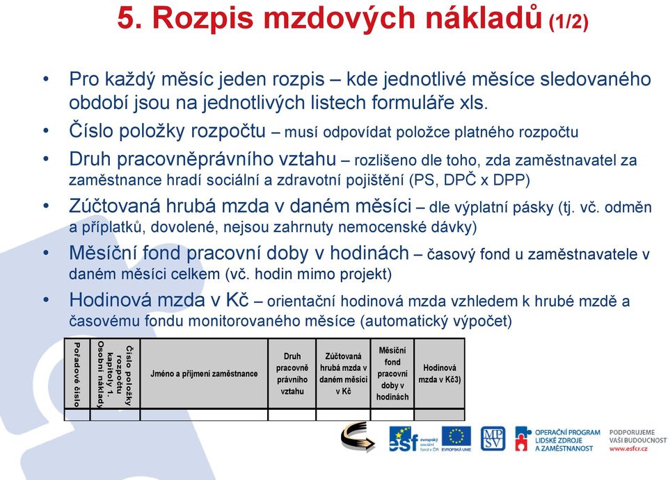 Číslo položky rozpočtu musí odpovídat položce platného rozpočtu Druh pracovněprávního vztahu rozlišeno dle toho, zda zaměstnavatel za zaměstnance hradí sociální a zdravotní pojištění (PS, DPČ x DPP)